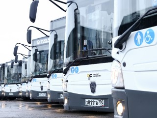 Жители Подмосковья стали больше ездить на автобусах