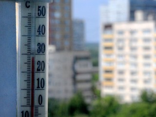В Подмосковье сохранится теплая и комфортная погода до выходных