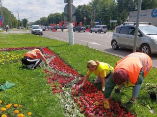 В Подмосковье высадили цветы и обновили контейнеры для отходов