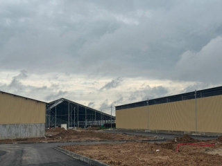 В Клину построят животноводческий комплекс на 800 коров