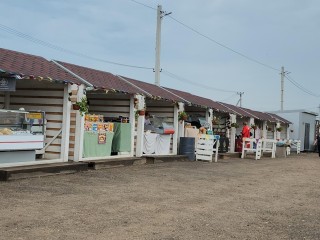 Ярмарка сыров и фермерской продукции прошла в Истре