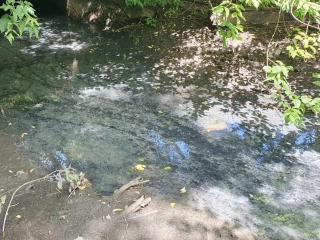 Фермеру в Раменском округе вынесли предостережение за загрязнение воды