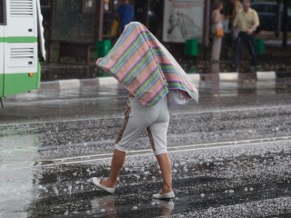 Грозы и дожди придут в Подмосковье с юга: объявлен «желтый» уровень опасности