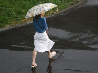 «Атмосферные фронты»: какая погода будет в Подмосковье на этой неделе