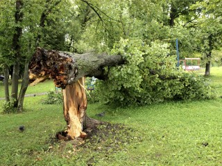 Специалисты Электростали ликвидировали последствия непогоды