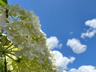 Выходные в Подмосковье ожидаются яркими и ясными