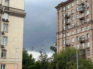 Жара, ливни и штормы: новая климатическая реальность Подмосковья