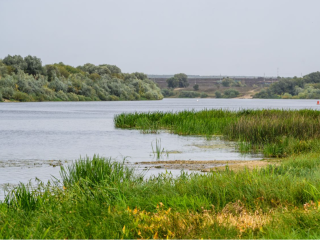 В малых реках Подмосковья возможны внезапные подъемы воды