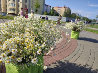 Адская жара +35°C будет держаться в Подмосковье долго и побет температурный рекорд