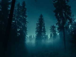 Причины ночного запаха гари выясняют в Краснознаменске
