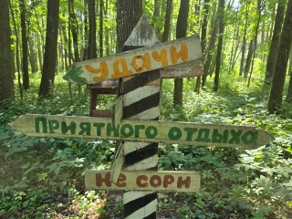 Море зелени и живых историй в «Парке Памяти» поможет переждать жару в Можайске