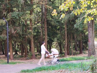 Звенигородцы оценили музыкальные туалеты в Супоневском лесопарке