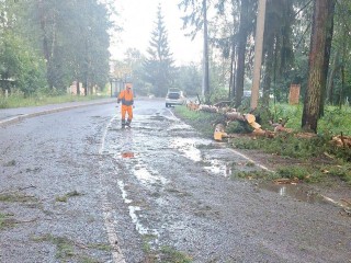 Последствия сильнейшего урагана ликвидировали на улицах Пушкино