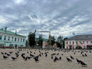 Спасатели Можайска предупредили о приближении грозового фронта