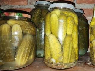 Закатываем огурцы в банки: два проверенных рецепта от огородника из Котельников