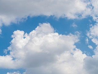 Теплую погоду с проливными дождями спрогнозировали в Волоколамске