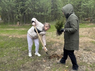 В Ивантеевке 5 июля пройдет акция «Чистый лес»