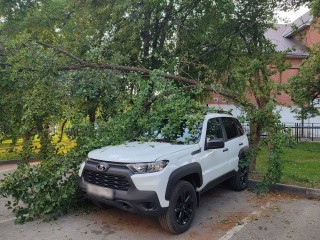 В Луховицах из-за падения ветви получила повреждения машина, но все могло быть хуже