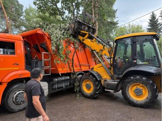 Более 200 поваленных ураганами деревьев убрали коммунальщики в Люберцах