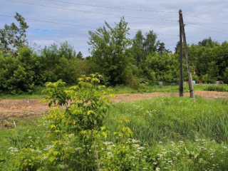 В Талдомском округе завершен снос аварийного дома