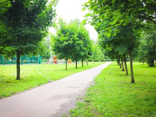 В парках Истринского округа подготовили насыщенную программу мероприятий