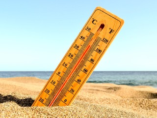 Солнечный переворот: Подмосковье попросит пощады у жары