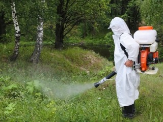 Парки Долгопрудного и Юсуповский сквер обработали от борщевика