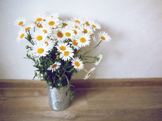 Что цветет в садах Шаховской в июле и как сделать букет, который не завянет завтра