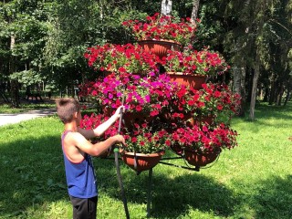 Дети помогают поливать многочисленные цветники в краснознаменских парках