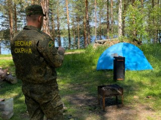 Жителей Подмосковья призвали не ходить в лес