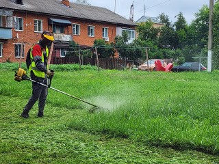 Коммунальщики Истры стригут зелень дважды в неделю