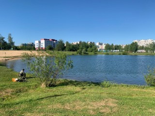Краснознаменцев просят не кормить хлебом рыб и уток на Новом озере