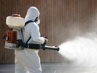 Где и когда в Долгопрудном нельзя гулять из-за обработки от клещей
