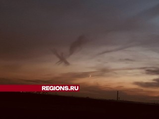 Странное существо в небе удалось запечатлеть жительнице Павловского Посада