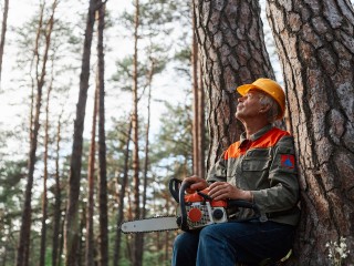 Срубленная береза «зацепила» рабочего в СНТ Подмосковья
