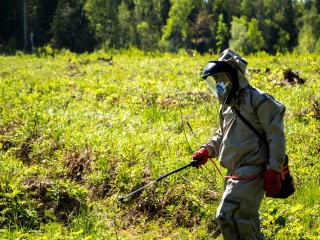 Новые штрафы выпишут владельцам земельных участков в Подмосковье