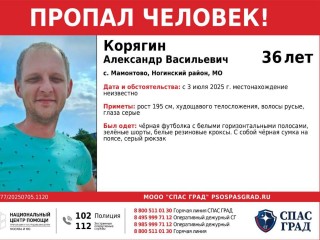В Электростали ищут 36-летнего мужчину из Мамонтова