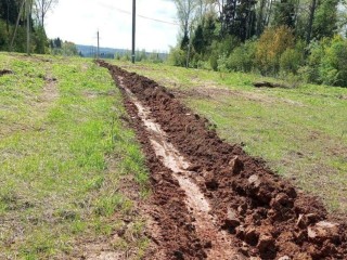 В лесах Подмосковья создали минерализованные полосы