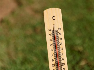 Жара в Реутове превысит норму на 10–12°