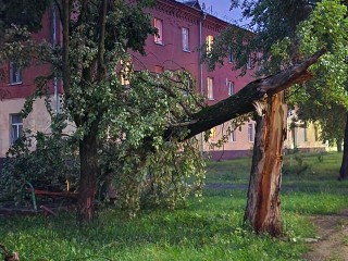 Поваленные ураганом деревья беспрерывно убирают в Истре