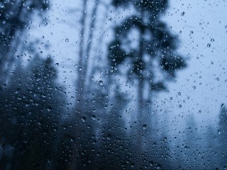 «Городок» в Рузе вновь закрыли из-за непогоды