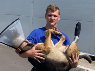 Спасатели оказали помощь раненой собаке в Серпухове