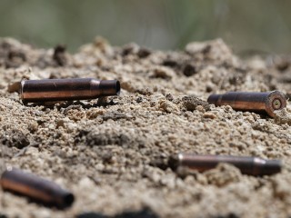 На участке под Истрой нашли гильзы времен Великой Отечественной войны