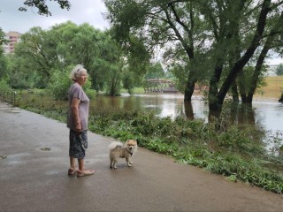 Отток воды уже начался в реках, вышедших из берегов в Истре