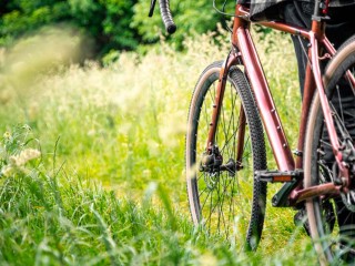 Велосипедисты Солнечногорска предложили легкий маршрут для вечерних прогулок после работы