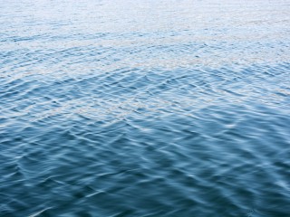 Тело ребенка, который утонул в округе Луховицы, вытащили из воды