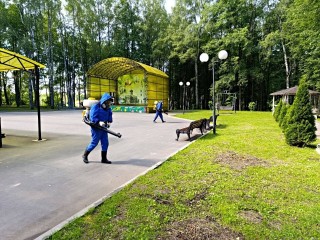 После обработки в парке Волоколамска не выжил ни один клещ
