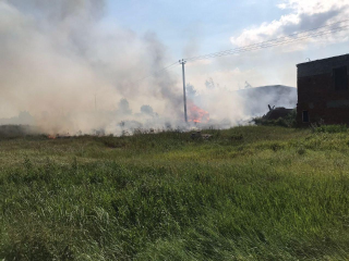 В Луховицком округе ликвидировали лесной пожар