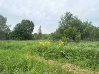 В Подмосковье продадут участки под жилищное строительство