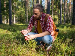 Черничный день или Панкратий Ягодник: что можно и нельзя делать 22 июля
